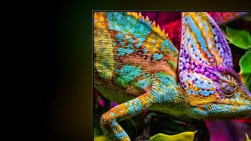 Технологія Hi-QLED Colour+, затверджена Pantone