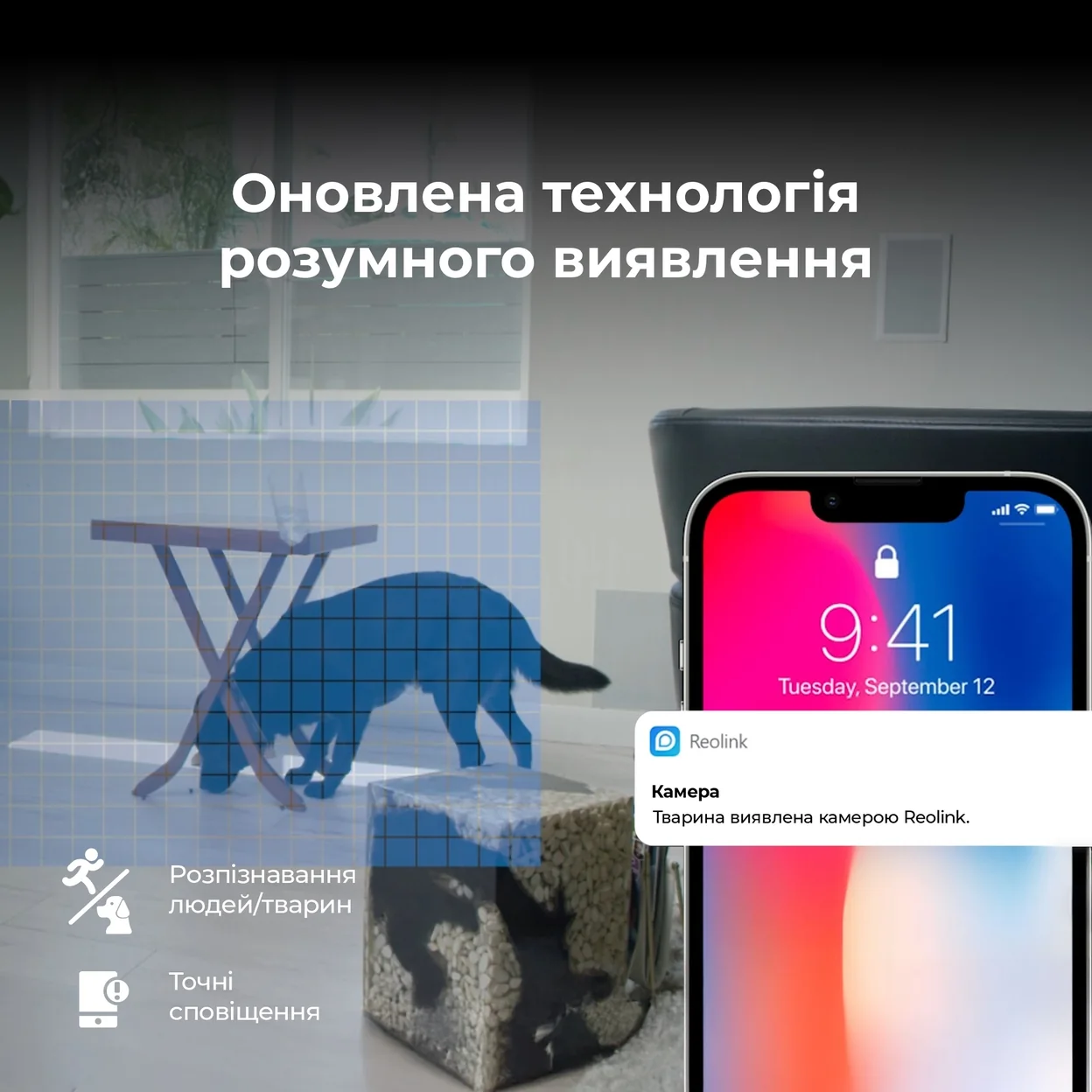Камера Reolink E320 обнаруживает собаку и отправляет уведомление на смартфон