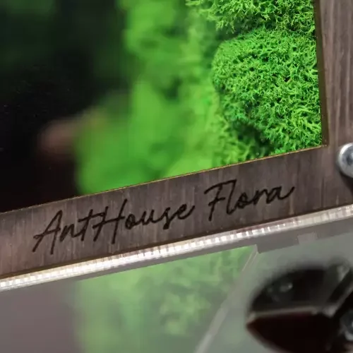 Гравіювання AntHouse Flora на дерев'яному корпусі ферми з гіпсовим блоком