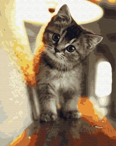 画材 to 14278836.jpg