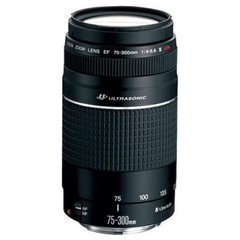 キャノン☆Canon EF 75-300mm F4-5.6 IS USM 71tvD3BNgBL._UF1000,1000_QL80_.jpg