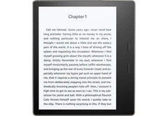 Электронная книга Amazon Kindle Oasis 10th Gen 8GB 2019 Graphite