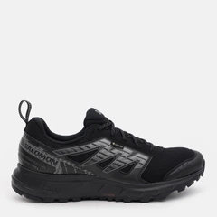 Чоловічі кросівки для бігу з Gore-Tex Salomon Wander Gtx L47148400