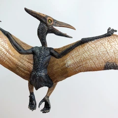 Динозавр Птеранодон Pteranodon Papo 55006 – игрушки с доставкой