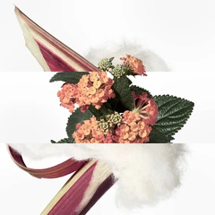 Rozetka.pl | Woda kolońska unisex Hermes Eau De Rhubarbe Ecarlate