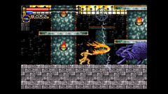 Rozetka.pl | Gra PS4 Castlevania Advance Collection Classic
