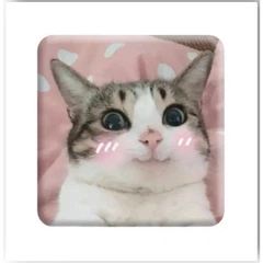 3D стикер Милый котик (цена за 1 стикер) Tattooshka SX-25