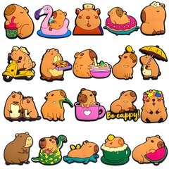 Капибара Джибитсы 3D Capybara 20 шт аксессуары крокс украшение