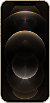 iPhone12Pro Max　ゴールド　128gb Apple iPhone 12 Pro Max 128GB Gold (MGD93) ᐈ Купить Apple