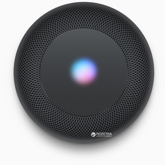 美品 Apple  Pod Акустическая система Apple HomePod Space Gray – фото, отзывы