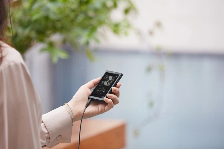 MP3-плеер Sony Walkman NW-A55 16GB – фото, отзывы, характеристики