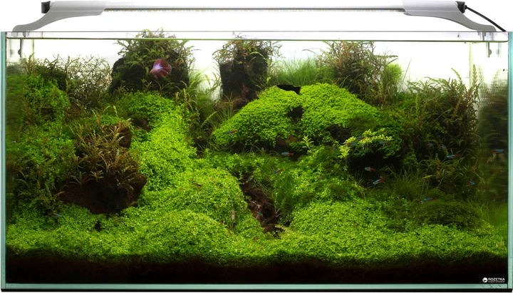 LED-светильник AquaEl Leddy Slim Plant 32 Вт 80-100 см (5905547003192/5905546300087) - Фото 2 LED-светильник AquaEl Leddy Slim Plant 32 Вт 80-100 см (5905547003192/5905546300087) - изображение 2