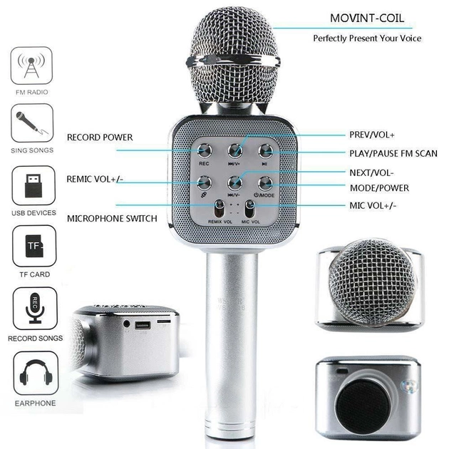 Микрофон DM Karaoke WS 1818 беспроводной - изображение 2