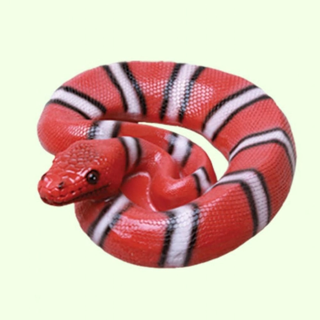 Сувенир для серпентологов змея Гремучник