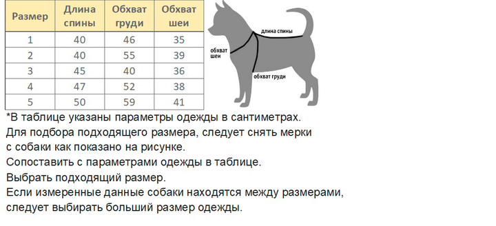 Одежда для таксы