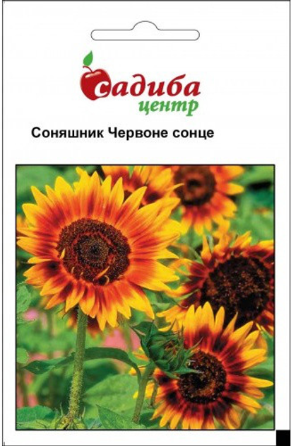 https://content.rozetka.com.ua/goods/images/big/12546445.jpg