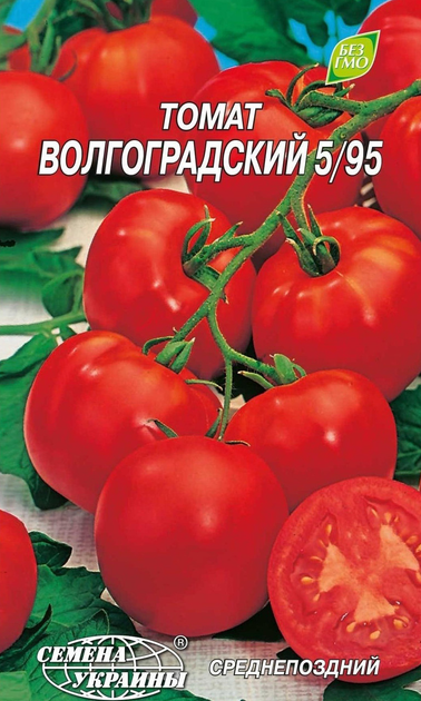 Помидор волгоградский 5 95 описание и фото