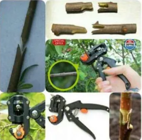 Секатор прививочный для деревьев - изображение 2