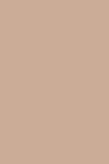 Фон паперовий Savage Widetone Pecan рулон 2.72x11 м (53-12) - зображення 2