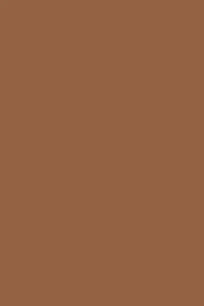 Фон бумажный Savage Widetone Cocoa рулон 2.72x11 м (80-12) - изображение 5