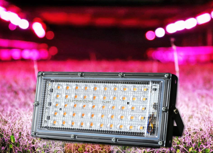 Мощный Фито прожектор полного спектра для растений и рассады 100Вт 96LED 240*125 мм (с проводом и выключателем) - изображение 3