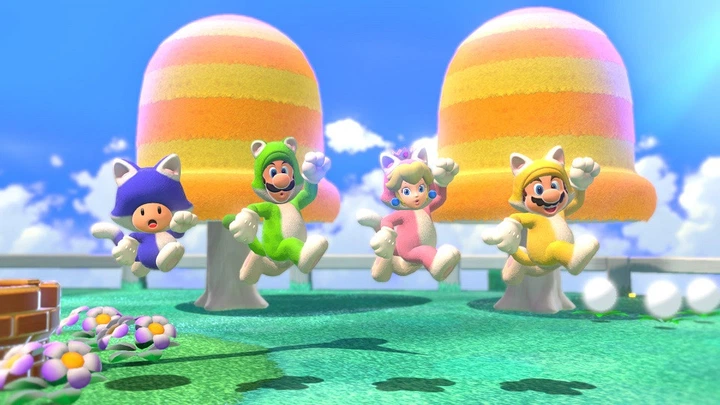 Super Mario 3D World + あつまれ どうぶつの森 ROZETKA » Super Mario 3D World + Bowsers Fury (Switch, русская