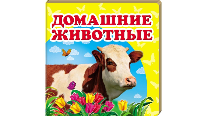 Книга Домашние животные