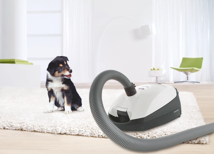 Пилосос для сухого прибирання MIELE SBAF3 білий лотос - Фото 4 Пилосос для сухого прибирання MIELE SBAF3 білий лотос - зображення 4