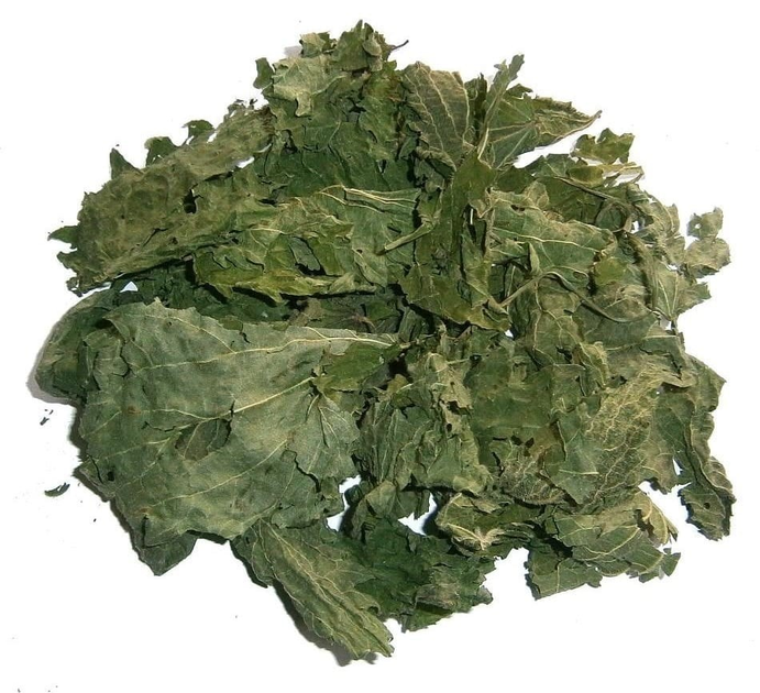 Крапива (листья) 1 кг - изображение 1