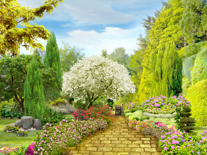 Цветочный сад (65 фото)