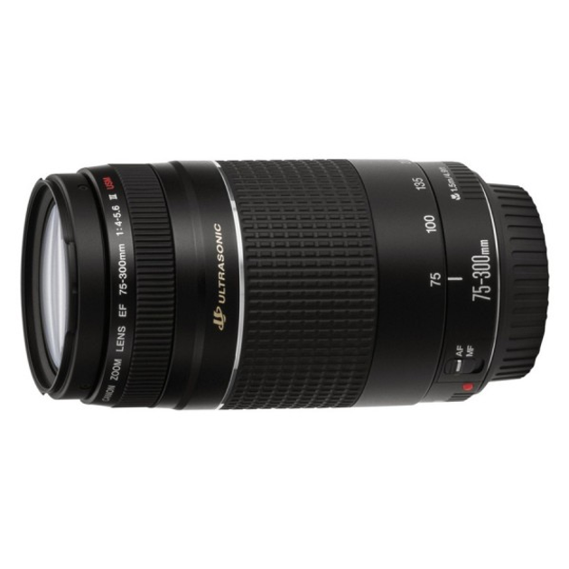 Объектив Canon EF 75-300 f/4-5.6 III USM – фото, отзывы