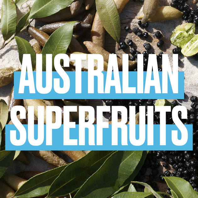 Шампунь для поврежденных волос Aussie SOS Save My Lengths! 290 мл (8006540004548) - изображение 2