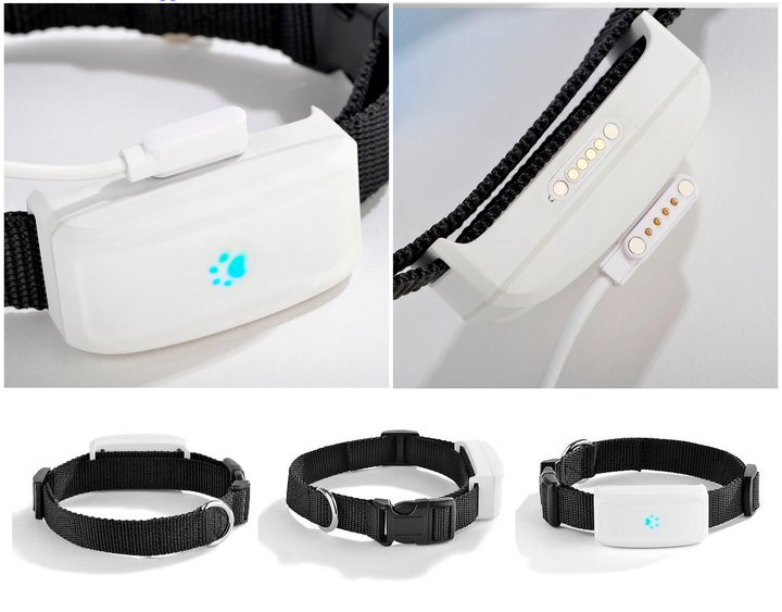 Нашийник GPS Tracker Трекер для Собак ТКSTAR Модель: ТК-911, Вага 33гр., Захист IP66 - зображення 3