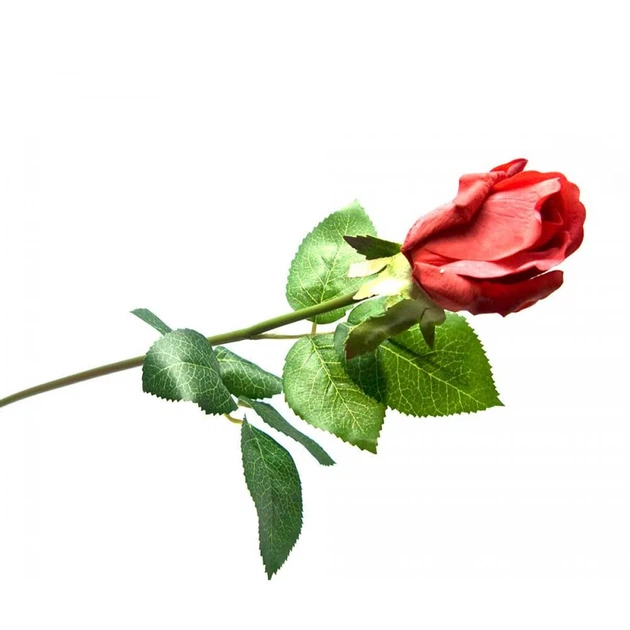Rose様ご確認用 Купить LEGO Botanicals Розы (40460), ЛЕГО 40460 - цена набора