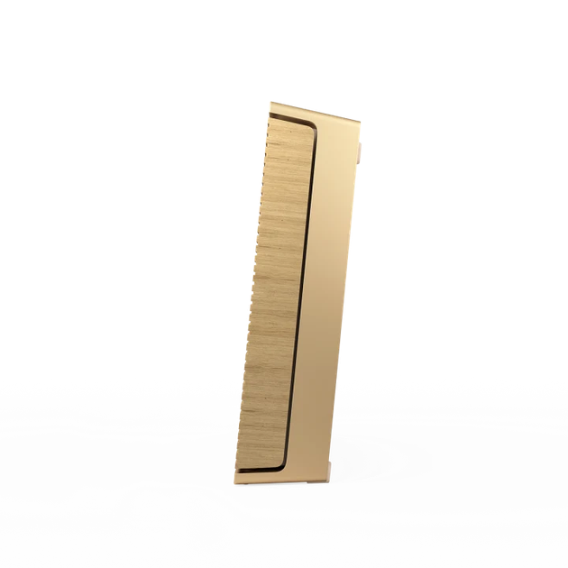 Акустическая система Bang & Olufsen Beosound Level Gold Tone