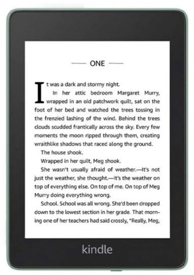 Amazon Kindle Paperwhite 10th Gen. 32GB Sage – фото, отзывы
