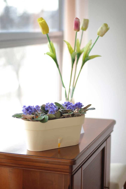 Горшок с автополивом Santino LATINA WINDOW BOX 6,7 л. канва-крем (LWB67cgry) - изображение 4
