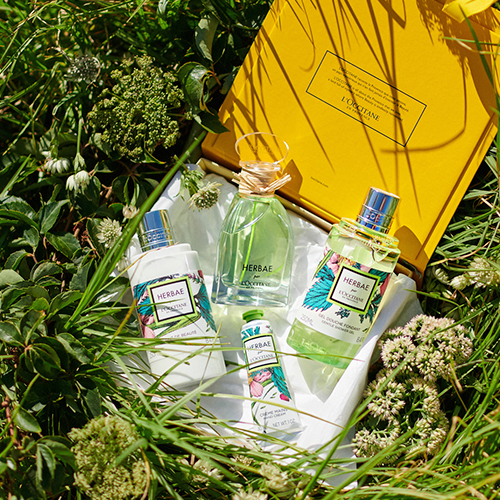 L'Occitane en Provence Herbae Парфумована вода для жінок – купити