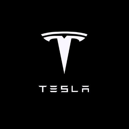 Проектор подсветка логотипа для дверей TESLA (Тесла) CountryMan 3 S X Y - изображение 9