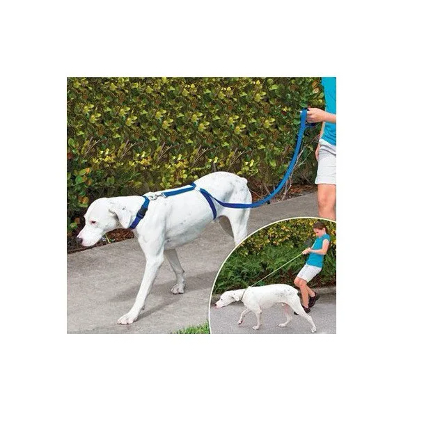 Нашийник для собак Instant Trainer Leash (n-600) - Фото 3 Нашийник для собак Instant Trainer Leash (n-600) - зображення 3