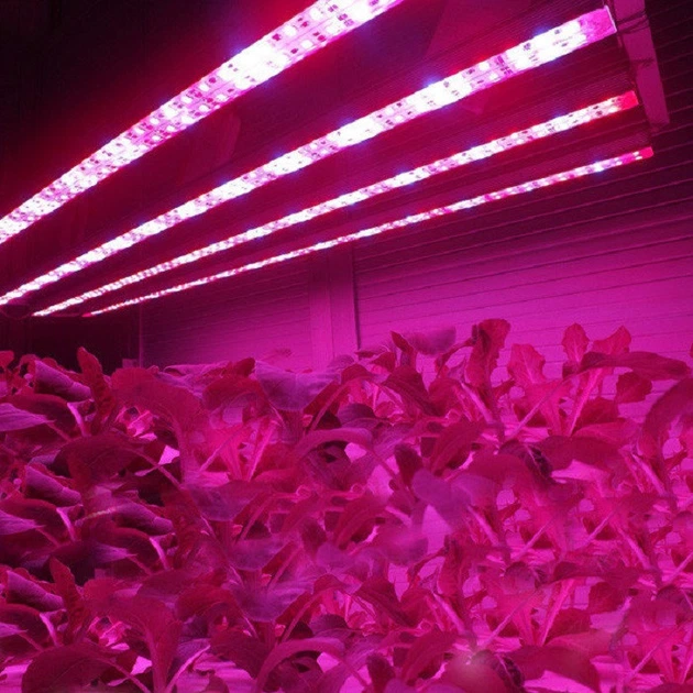 Комплект для растений Блок питания фитолента и подключка к 220В LED FITO GreenHouse 5м влагозащитная IP65 - Фото 5 Комплект для растений Блок питания фитолента и подключка к 220В LED FITO GreenHouse 5м влагозащитная IP65 - изображение 5