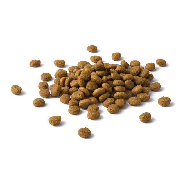 Сухой корм для выведения шерсти у кошек Cat Chow Hairball Control 400 г (курица) - изображение 5