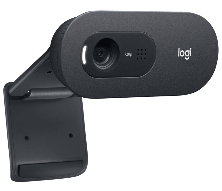 Веб-камера Logitech C505 (960-001364) - Фото 8 Веб-камера Logitech C505 (960-001364) - изображение 8