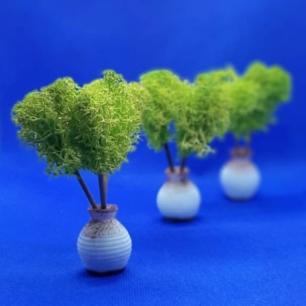 Стабилизированный мох ягель Nordic moss Зеленый светлый 150 грамм - Фото 2 Стабилизированный мох ягель Nordic moss Зеленый светлый 150 грамм - изображение 2