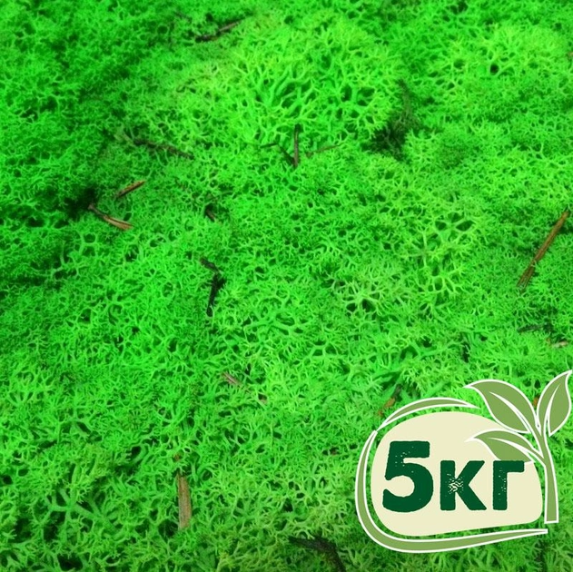 Стабилизированный мох ягель Nordic moss Зеленый травяной светлый 5 кг - изображение 1