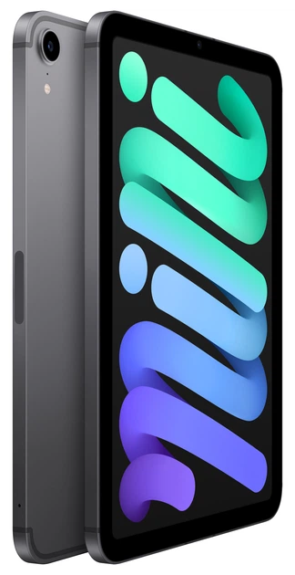Планшет Apple iPad mini 2021 Wi-Fi + Cellular 256GB Space Gray (MK8F3) - зображення 3
