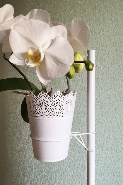 Полки для орхидей