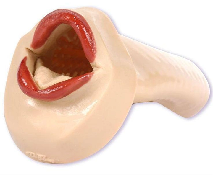 Мастурбатор в формі рота з вібрацією Female Mouth Vibrator Red Lips (02198000000000000) - зображення 1