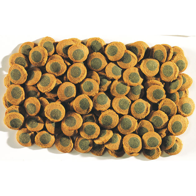 Корм для риб Tetra Pleco Spirulina Wafers 3,6 л/ 1,75 кг 193840 - Фото 2 Корм для риб Tetra Pleco Spirulina Wafers 3,6 л/ 1,75 кг 193840 - зображення 2