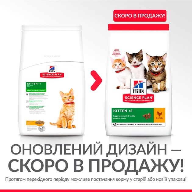 Сухой корм для котят Hill's Science Plan Kitten с курицей - 300 г ...